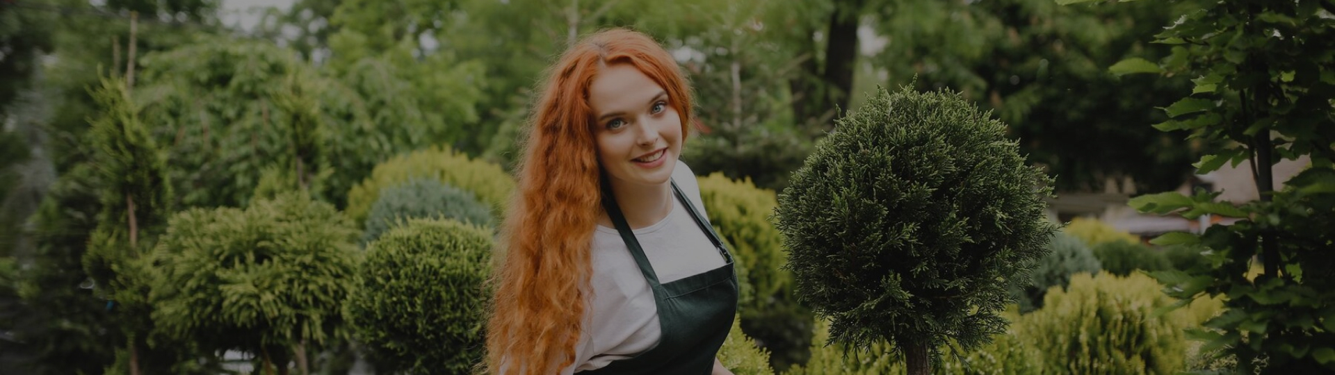 Посадки и озеленение